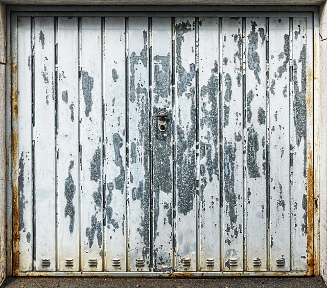 garage door repair near me