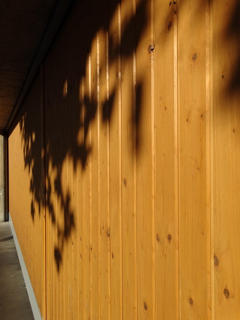 garage door repair near me